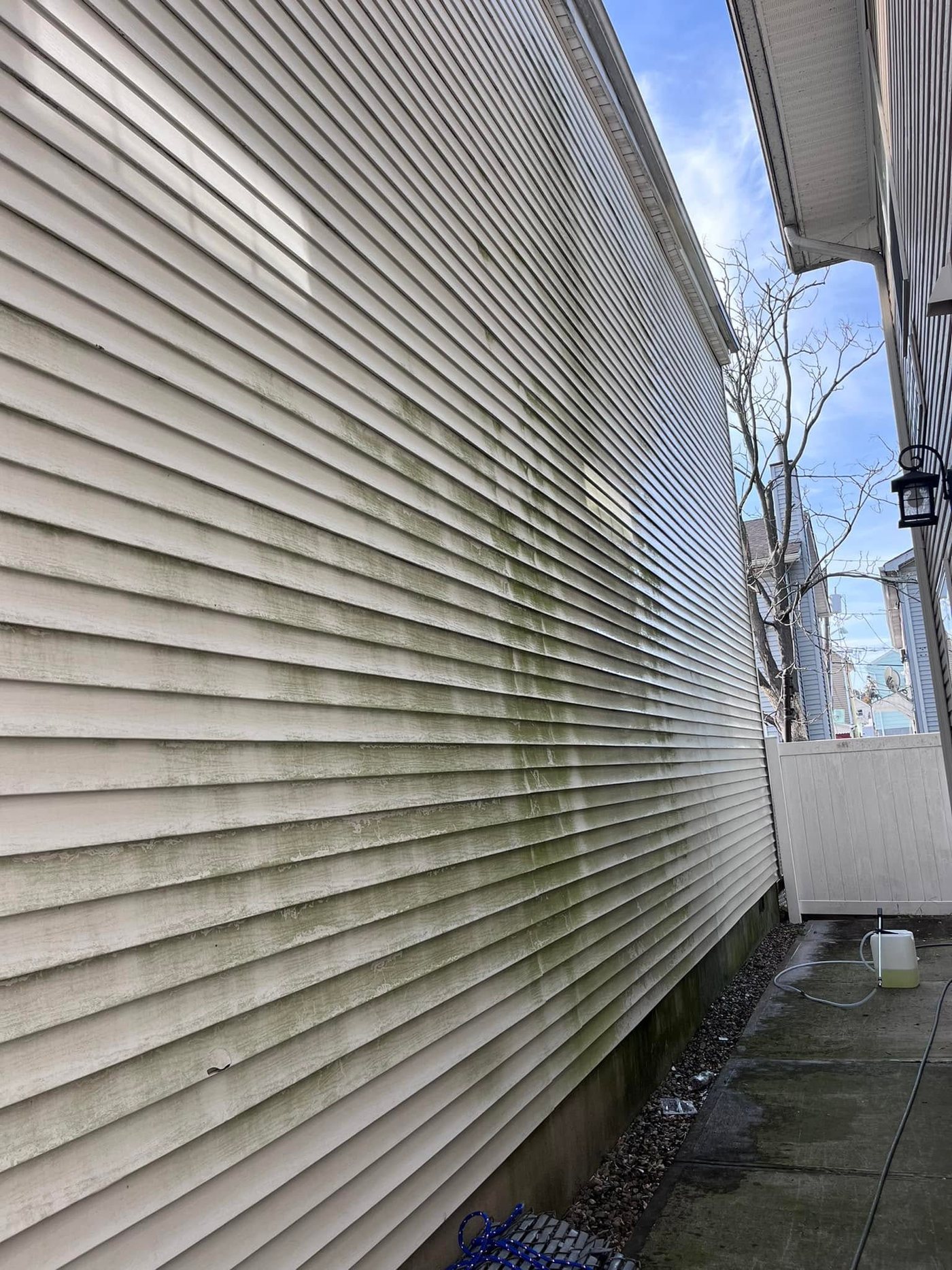 Vinyl siding coated in green algae before soft washing